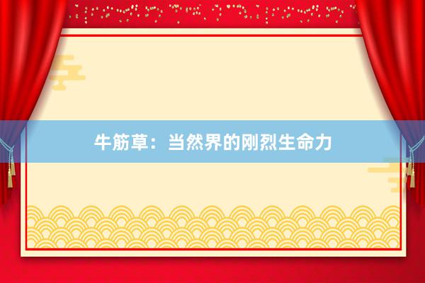 牛筋草：当然界的刚烈生命力