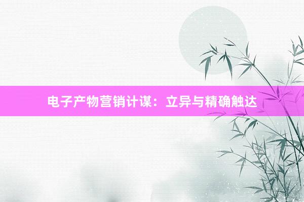 电子产物营销计谋：立异与精确触达